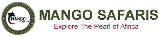 Mango Safaris